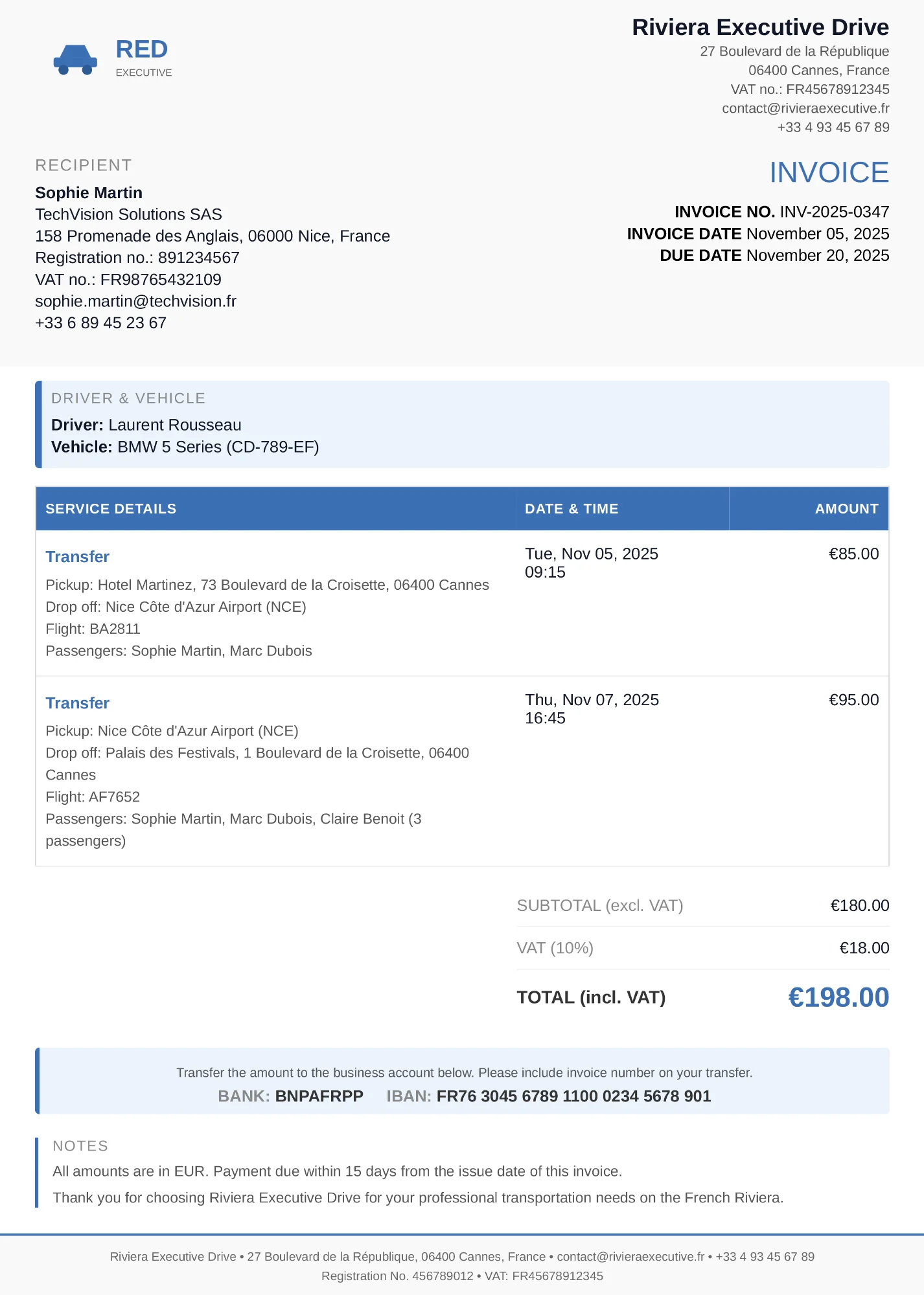 Professional Invoice